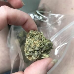 Buy Granddaddy Purple Online | Top Quality Hybrid | Chemsfine