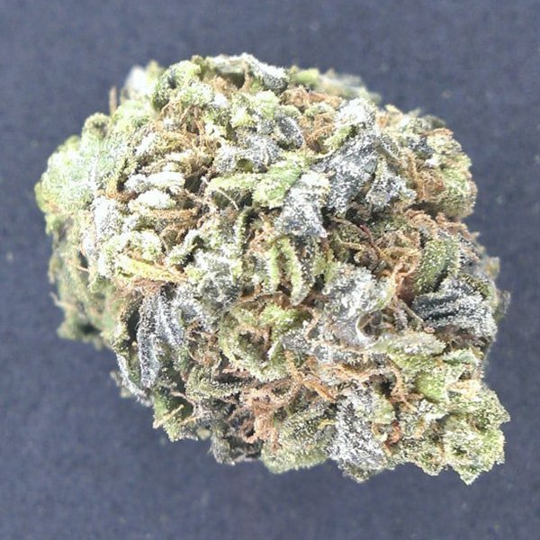 Buy Jesus OG Weed Strain Online – Top Quality | Chemsfine