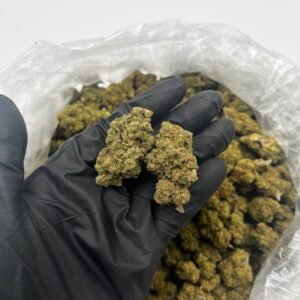Buy Gelato 41 Online | Top Quality Gelato 41 For Sale