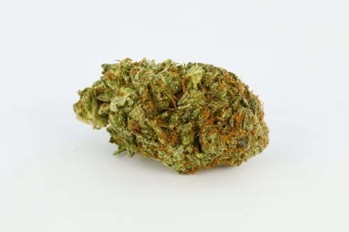 Buy Infinite Euphoria Marijuana Online – Top Quality Hybrid