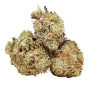 Buy Master Pink Hash Online | Potent Indica Hash