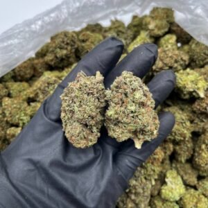Buy Red Velvet Online | Top Quality Hybrid Cannabis | Chemsfine